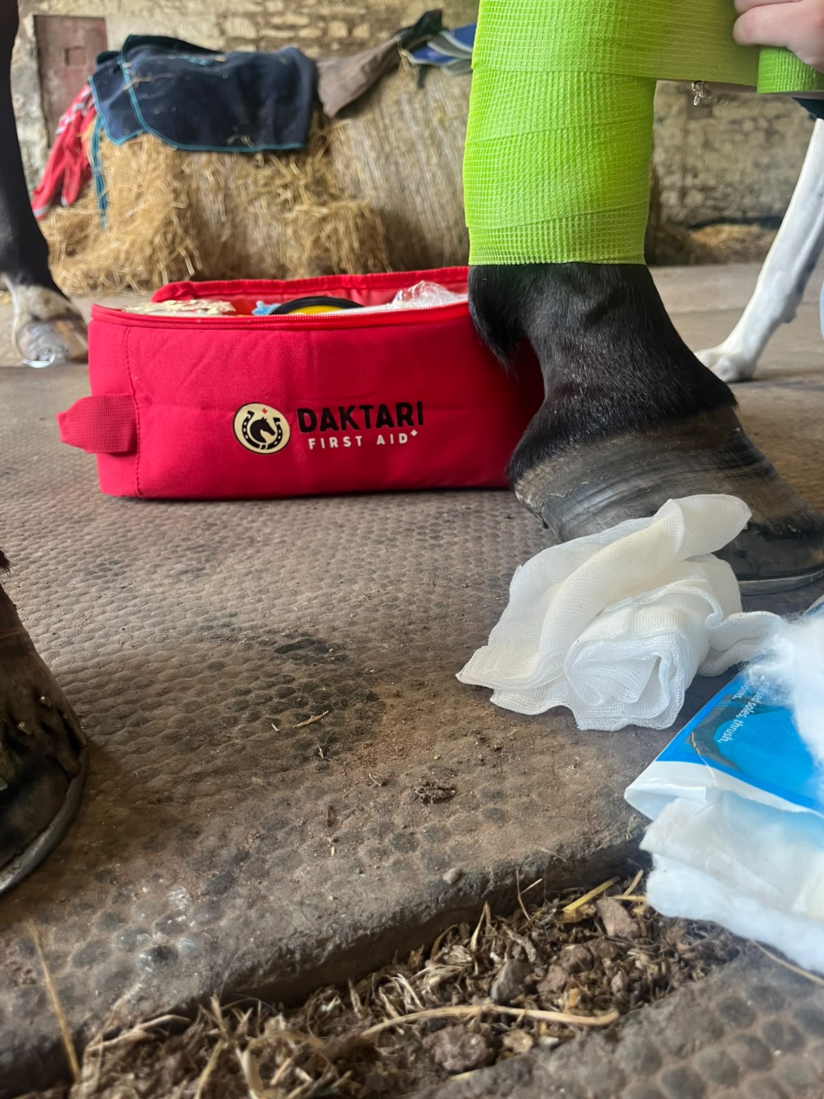 Horse First Aid Kit - FULLY LOADED