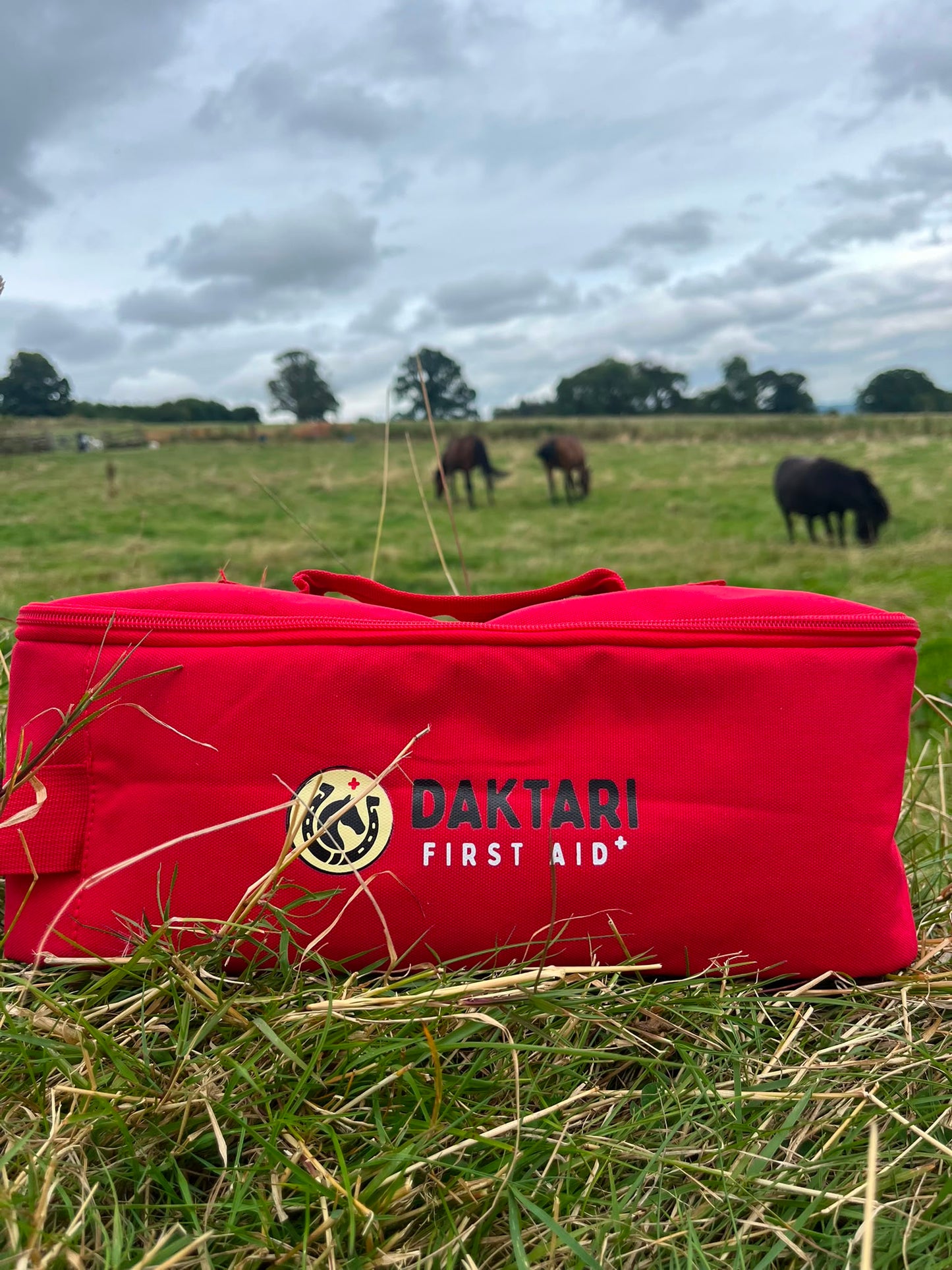 Horse First Aid Kit - UNLOADED