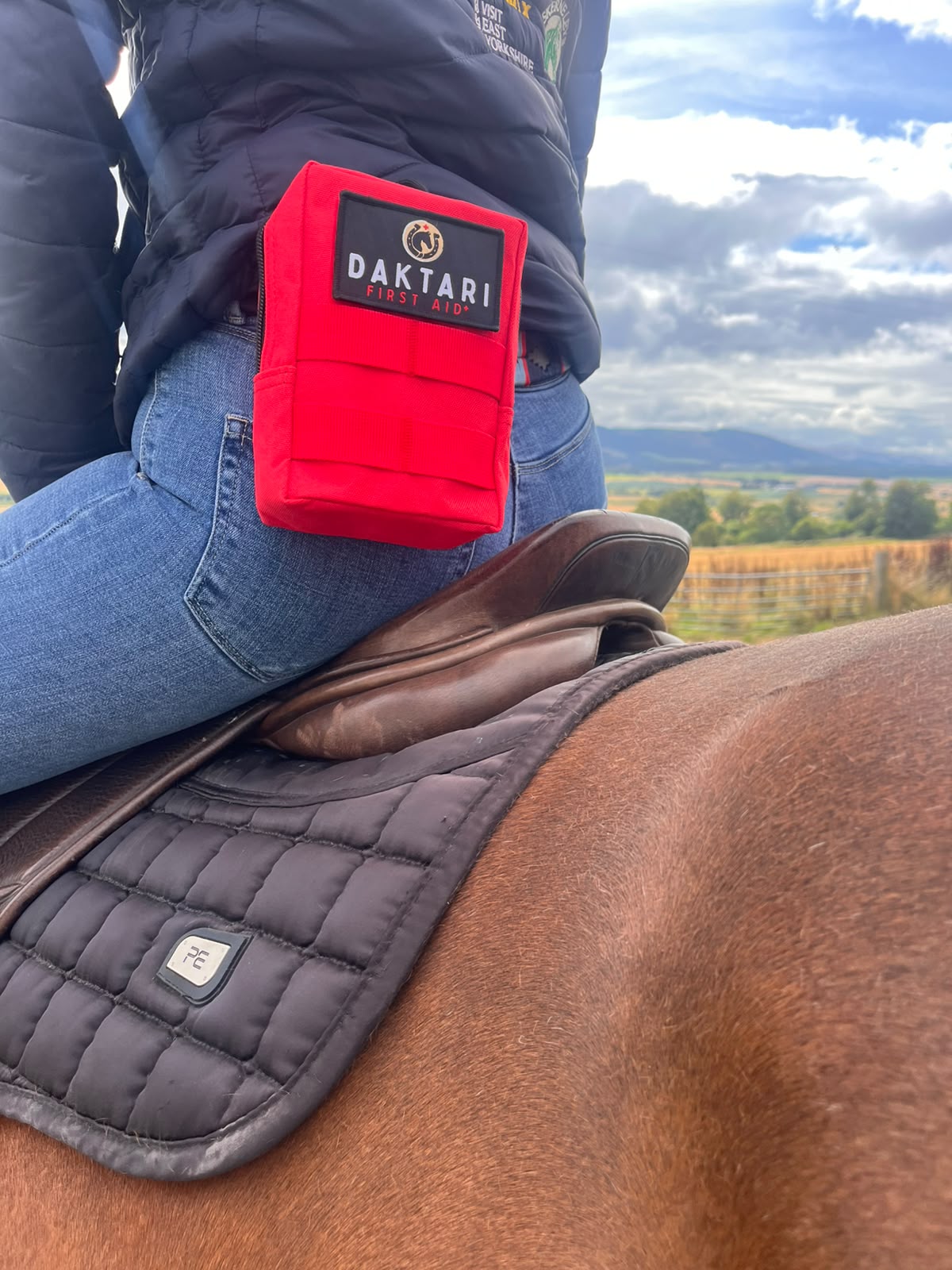 Horse First Aid Kit - MINI