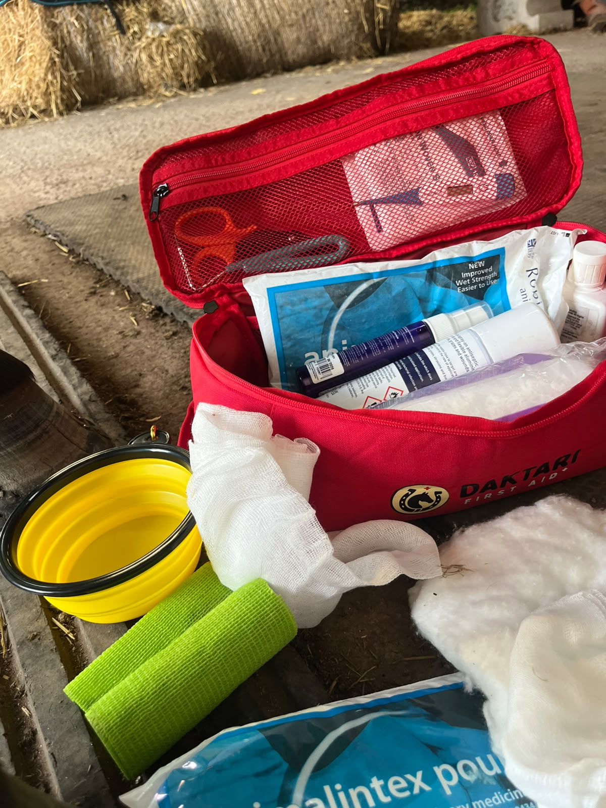 Horse First Aid Kit - FULLY LOADED