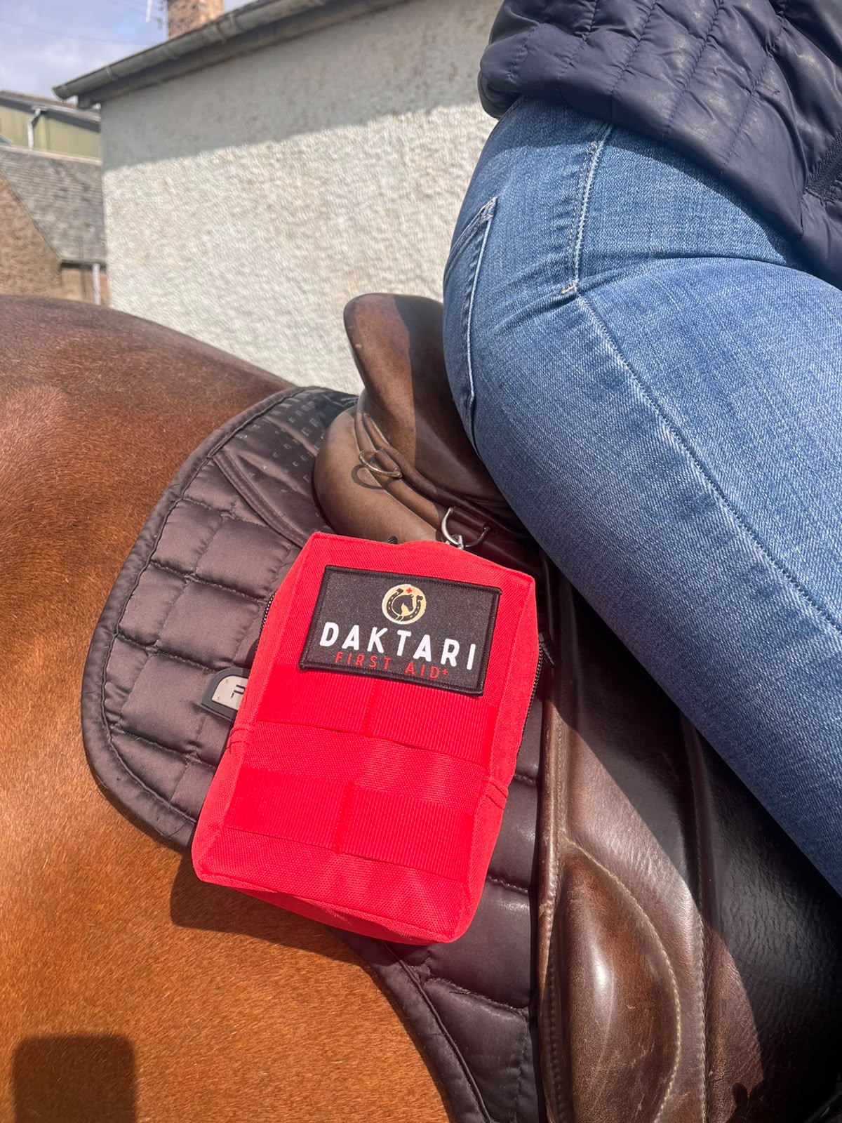 Horse First Aid Kit - MINI